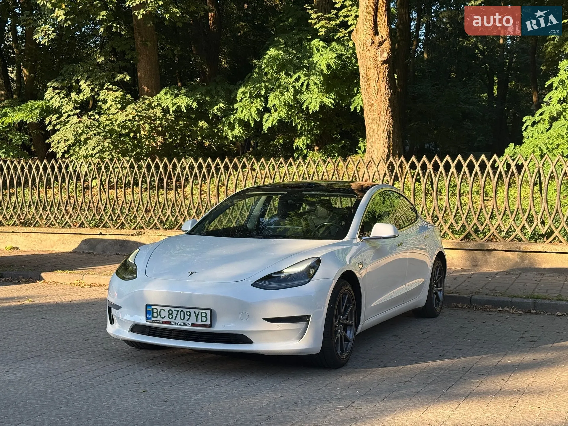 Tesla Model 3, 2019