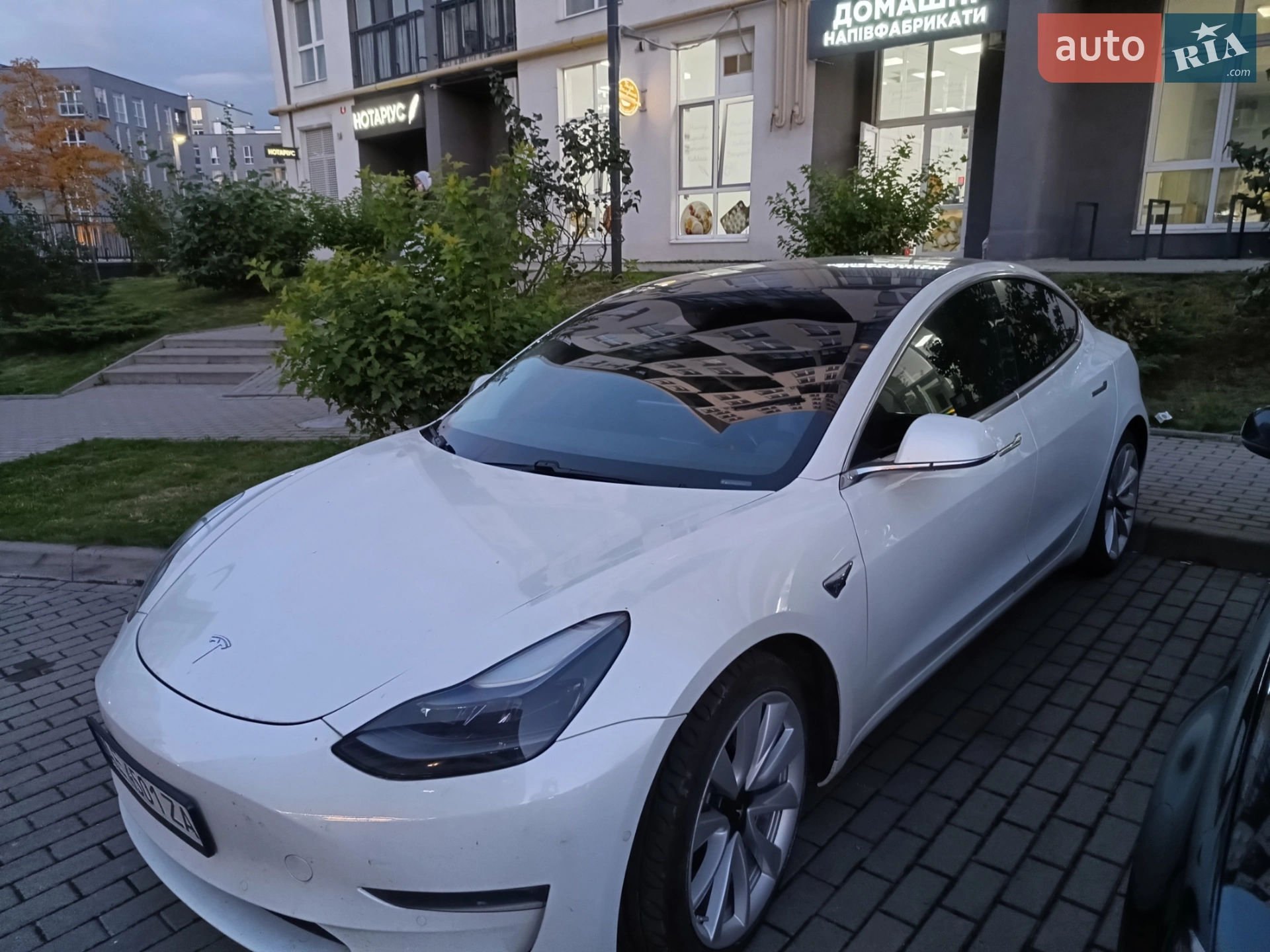 Tesla Model 3, 2019