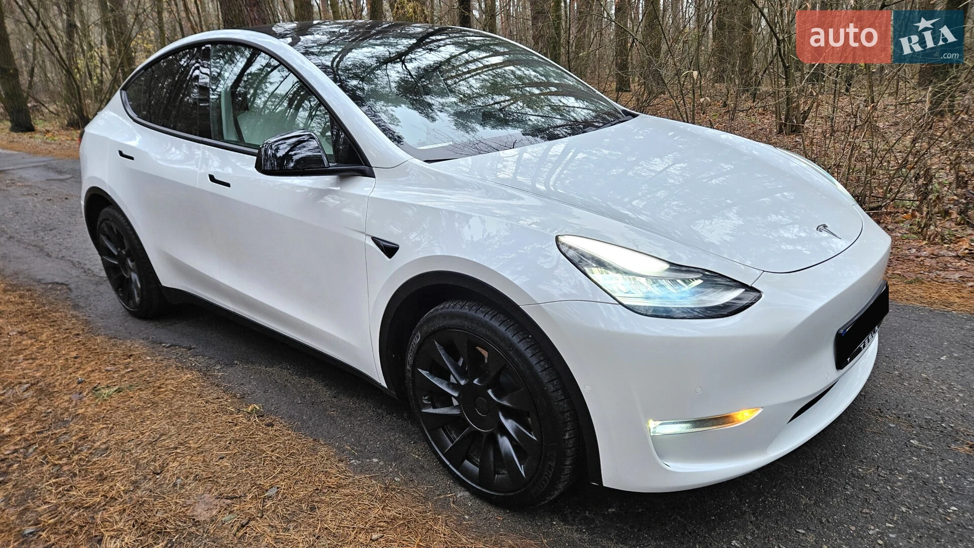 Tesla Model Y, 2020