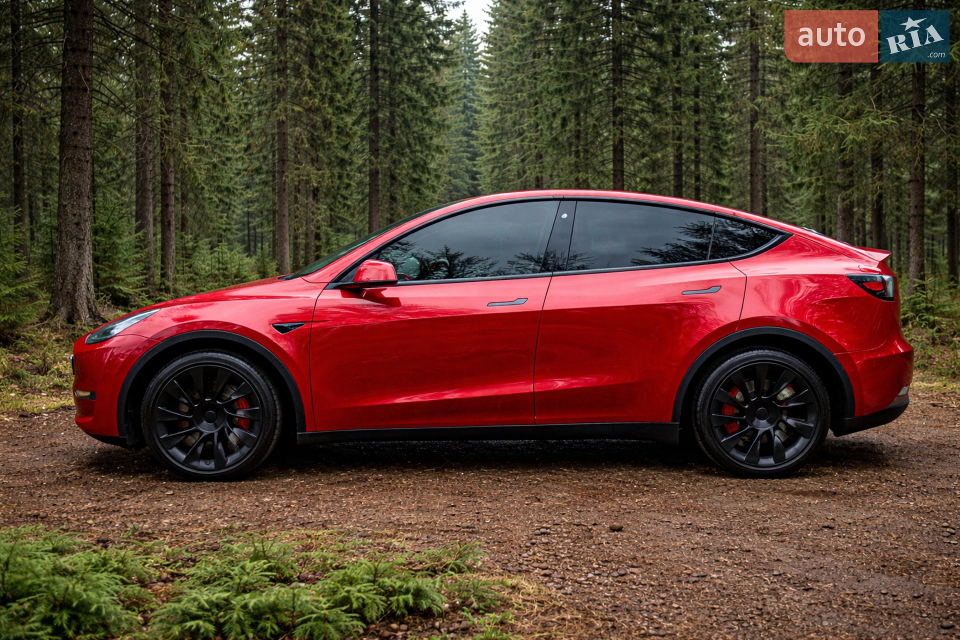 Tesla Model Y 2020 — 1