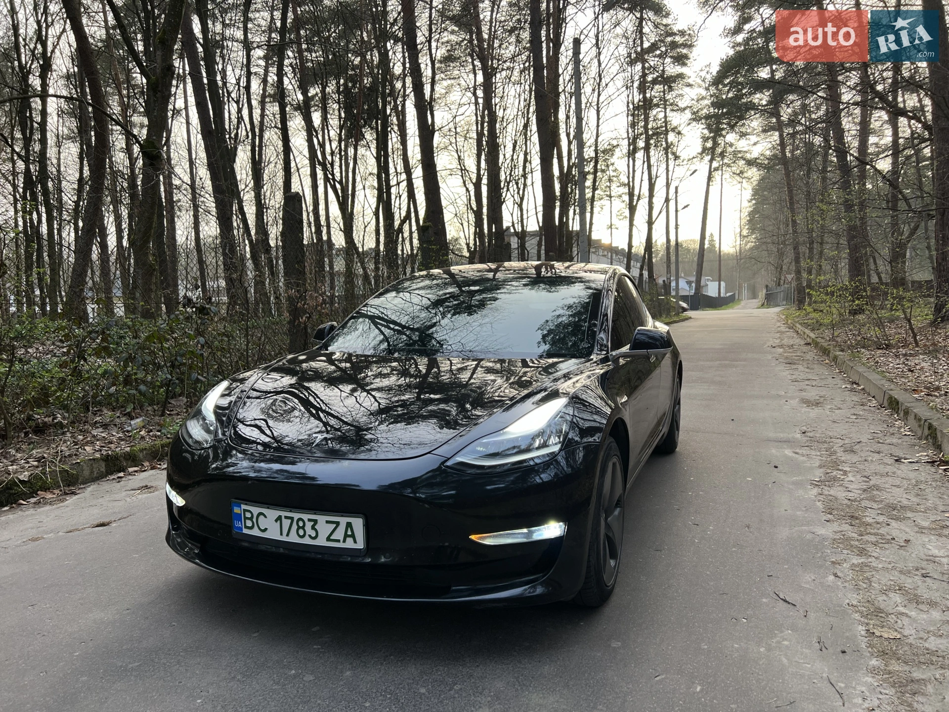 Tesla Model 3, 2019