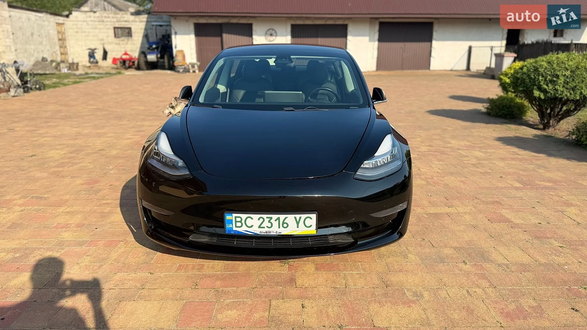 Tesla Model 3, 2019