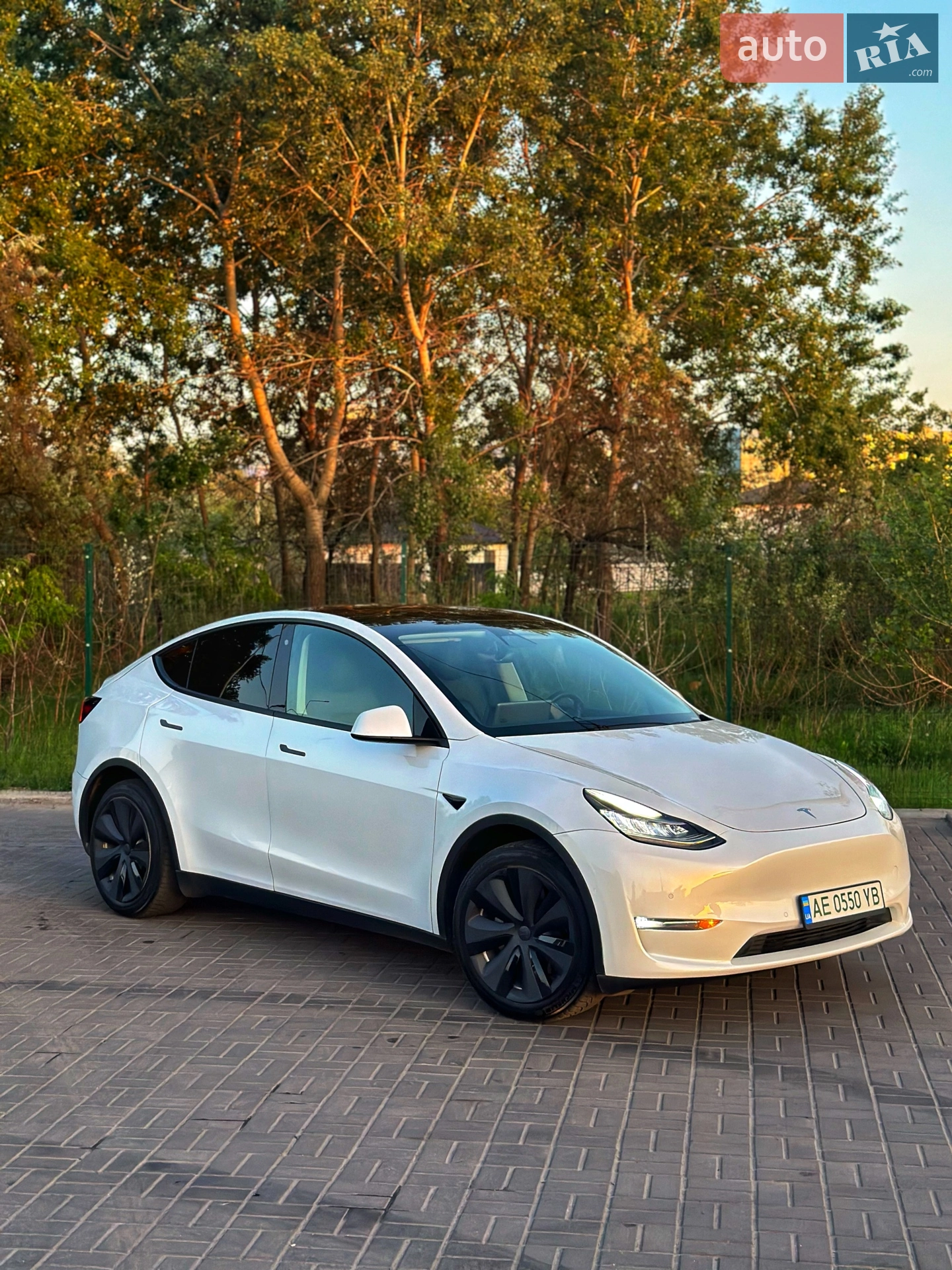 Tesla Model Y, 2020