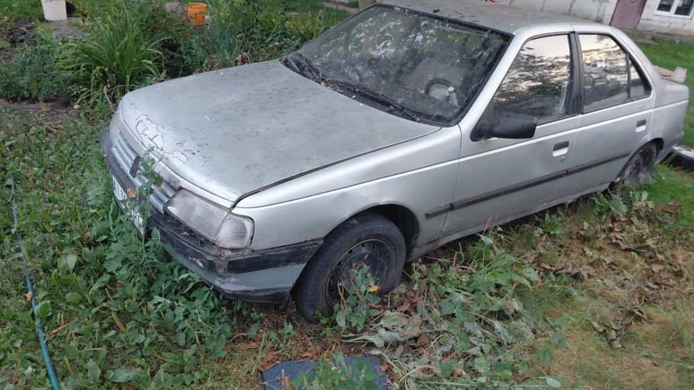 Peugeot 405, 1991