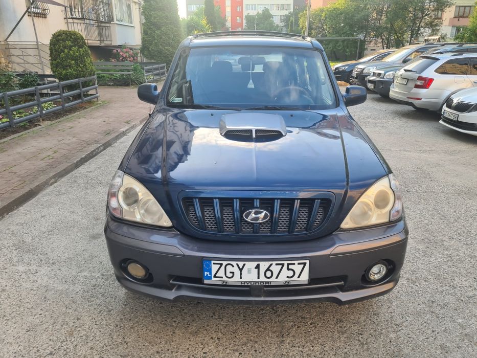 Hyundai Terracan, 2006